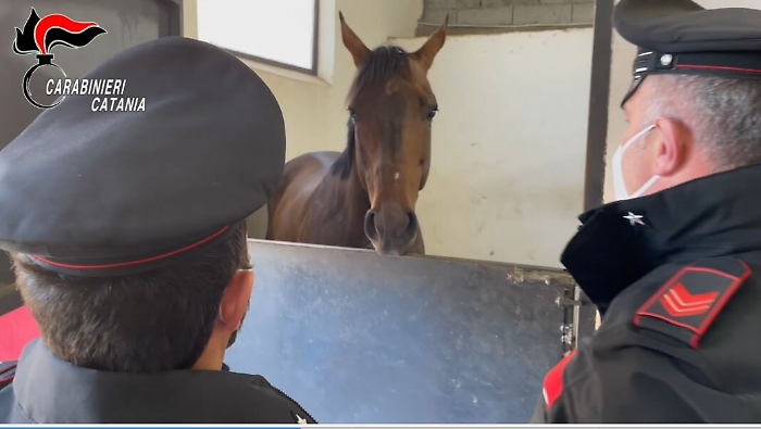 081337660-d6c0fd47-85e4-41c2-9d03-6d7e042d248b