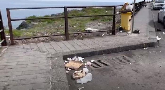 163430479-63592fc1-1baf-4d3c-8944-f63e5fb8c015