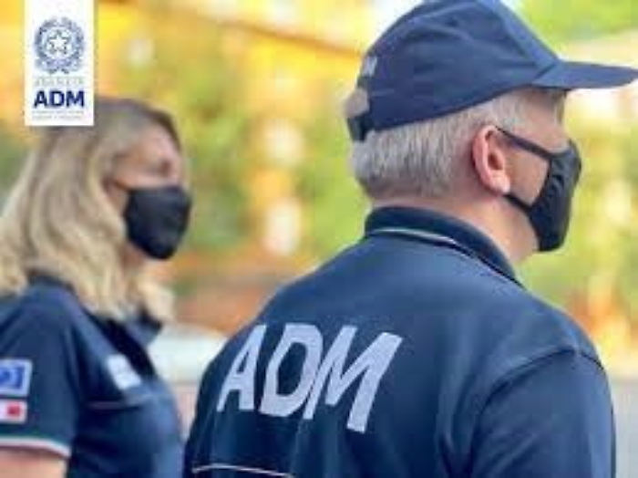 093253337-86b63291-8457-46e0-a684-7e6fbaaf2de7