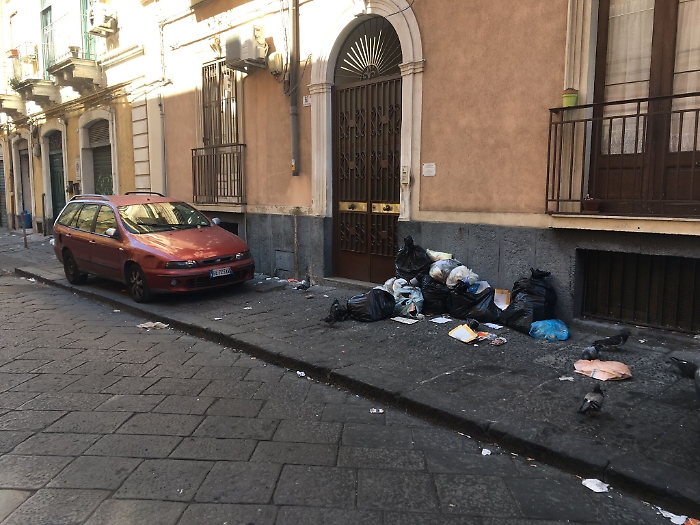 163510676-5f5e07bb-a9d0-46ce-a3cd-be2927d776f3