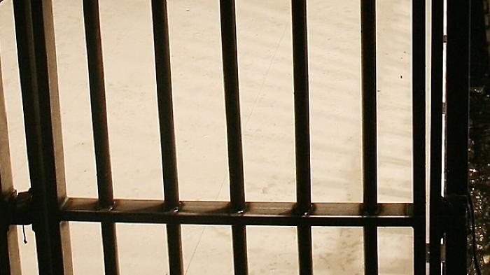 113517526-f42b71e7-4d6d-4346-af69-44008c184938