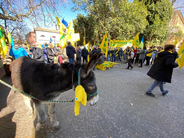 2022-03-10_110309932_1646913404175