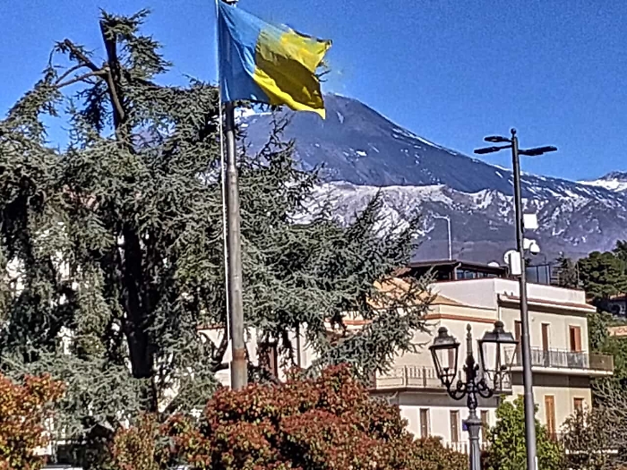 091502438-bf0ae6d5-5e5e-497b-81d7-ee8366e9c1ec