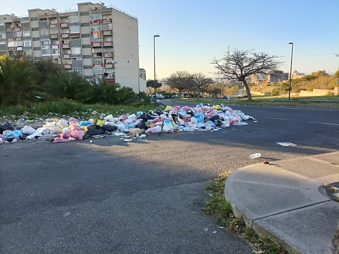 092336774-fffd006d-7e37-4358-8204-21acd3114b2c