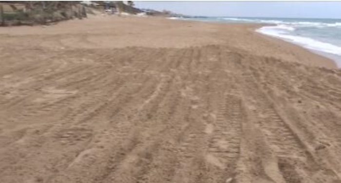 175145529-ed128385-8469-42ea-8582-6a469cda0fc5