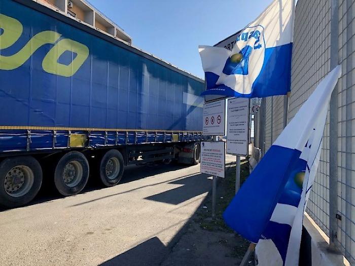 2022-03-13_113274673_1647174113882