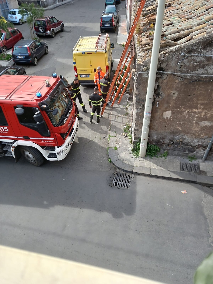 172028279-9508f203-d784-4780-bf15-1dc098b02f20