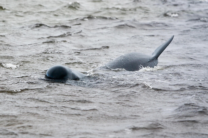 2022-03-18_118306178_1647620533922