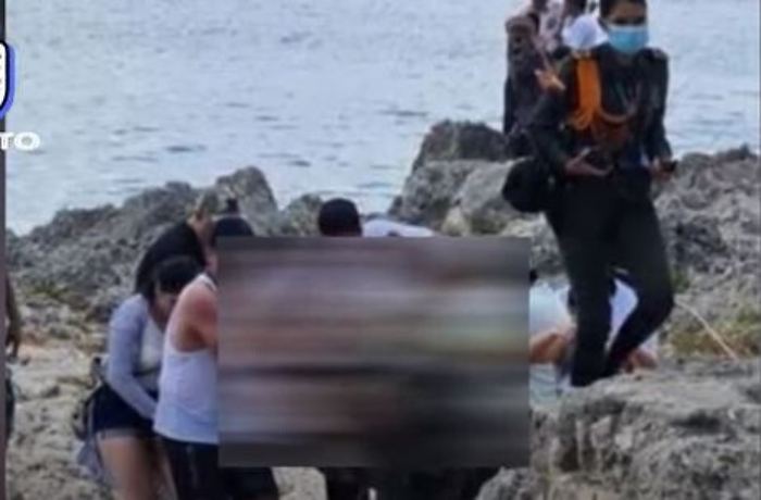 151222802-86504881-c280-485c-91bb-c2be47fadf8a