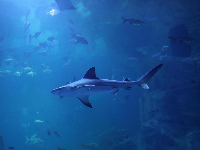 2022-03-19_119274247_1647653333123