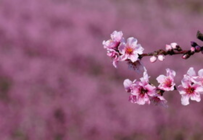 075804810-be088efc-9b24-4cf1-a2df-dd672058f42f