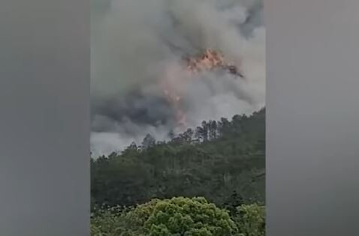 094402210-5a388fb2-1d55-4555-a7ab-3c81017ede95