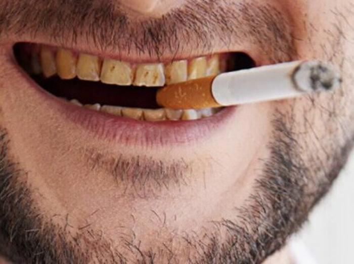 171017503-a81d5c42-bc75-463a-8dcd-76488b0bed96