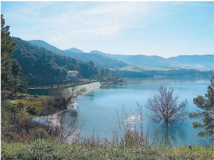 103026334-56ff7d22-b73e-47f3-ad4a-0120d9dc80f3