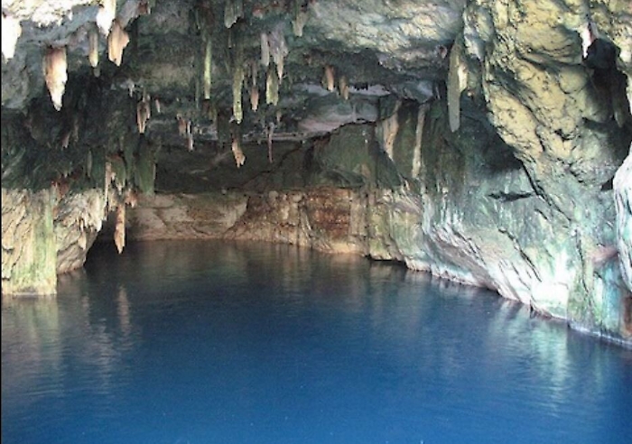 104028528-c07f9750-0033-457b-b70c-7ae2709b771d