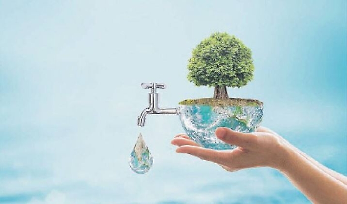 110146207-5dcd07eb-13e0-4ac6-9647-adb2fba2754f