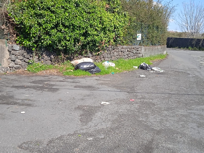 164622984-0adf5975-b9af-4516-9975-d6ed4bc02e44