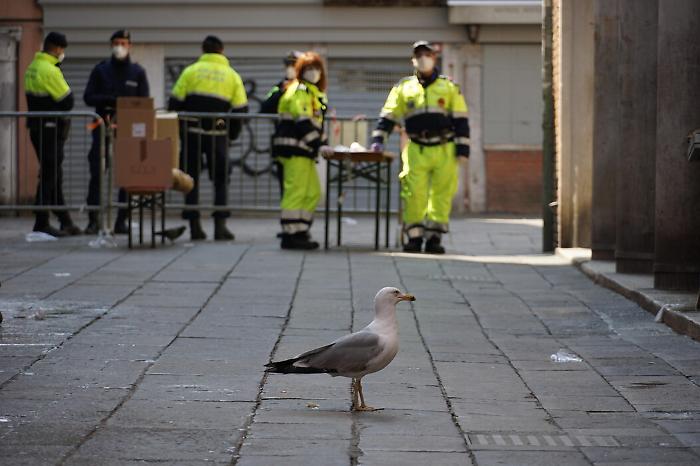 2022-03-22_122325995_1647955319451