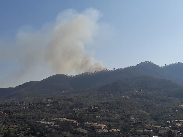 2022-03-24_124309780_1648123053375