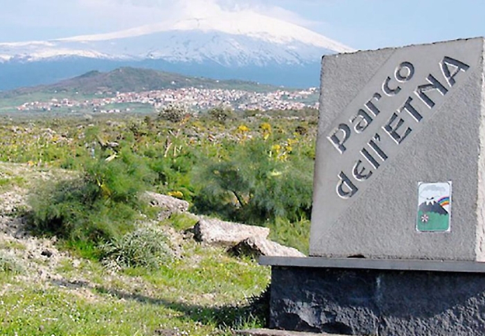 154508268-44a6206b-fc88-4a45-9755-1b6fe097f835