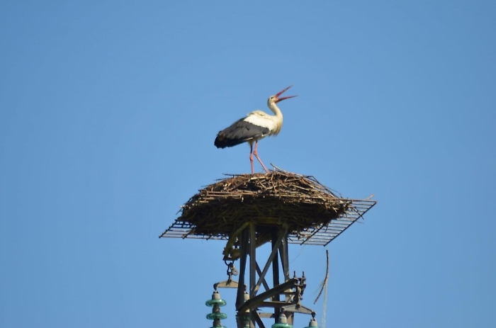 2022-03-27_127305481_1648369322200