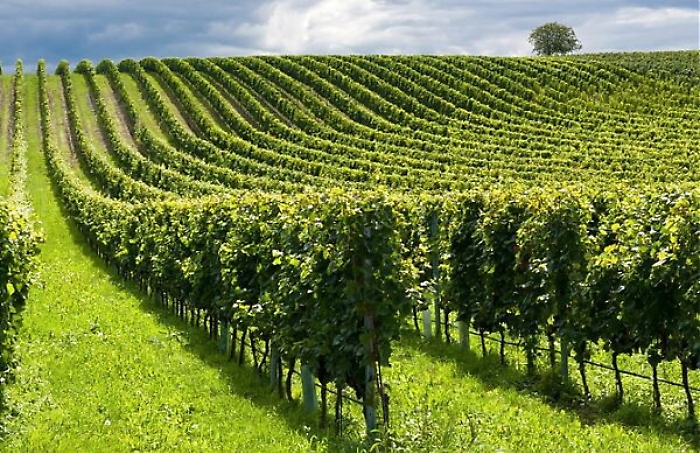 Italpress_29032022_0003_1648549306465