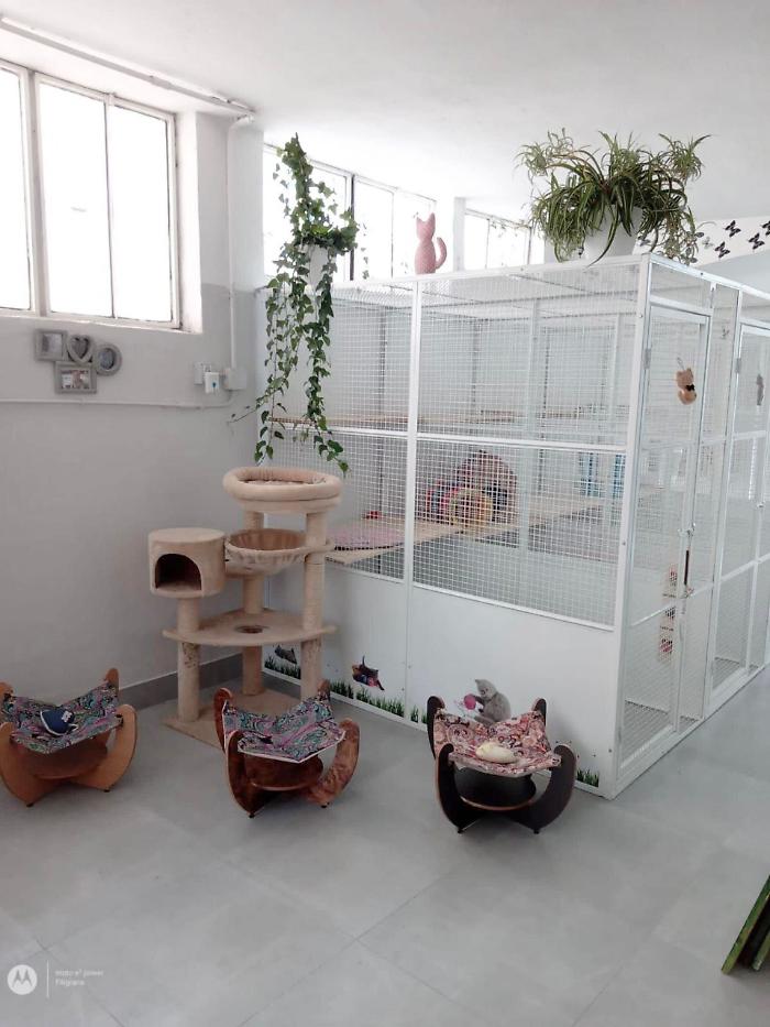 2022-04-01_101307952_1648818928422