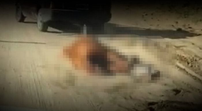 130215698-76573078-836c-4f91-94b2-5247a8f8c5bc