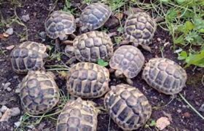 091932372-ff727dc1-68f3-4c07-bf50-124de2482e59