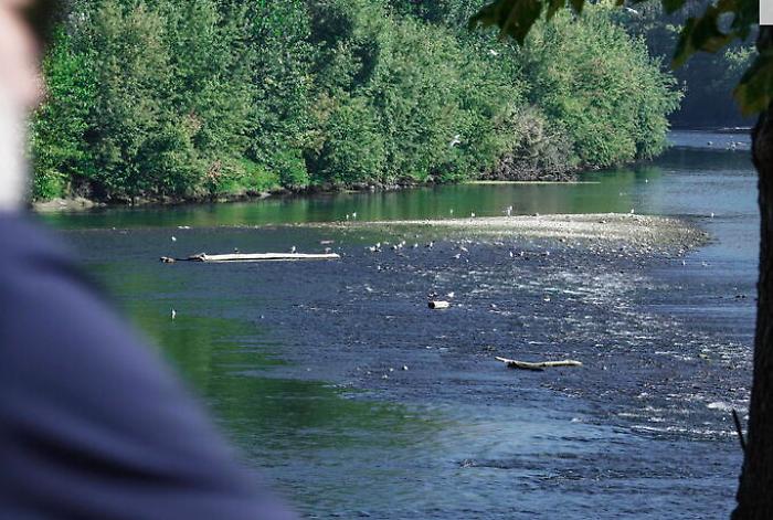 110230805-79942f31-8e1d-4420-aefa-605d16f3a733