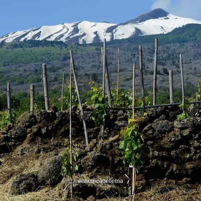 191604312-271f21fc-1892-4279-bdc7-4f2bfb4c4b55