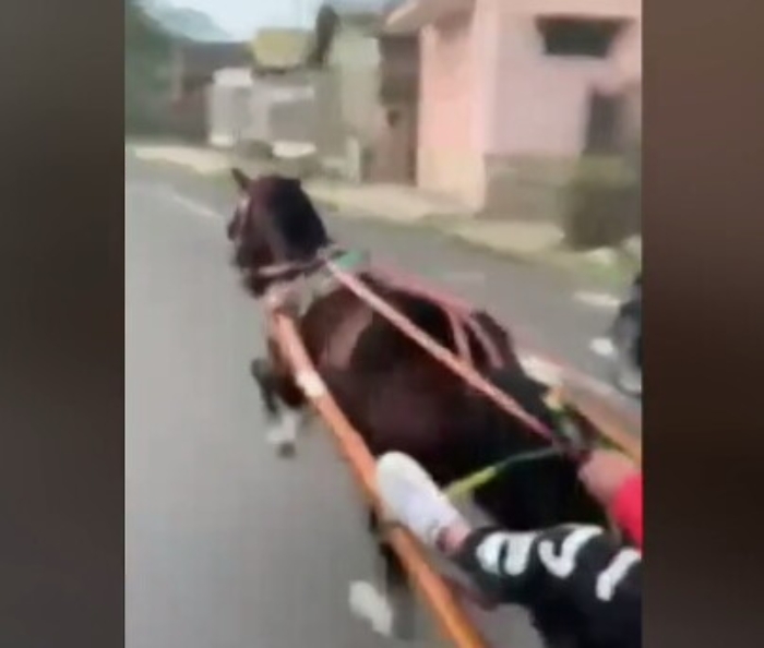 160703642-c90b5ad6-5e13-4d32-91cd-758dea1df4d5