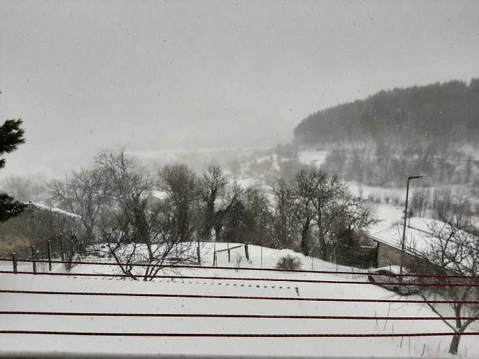 2022-04-10_110327452_1649584642444