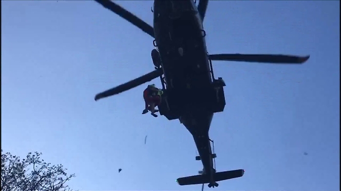 083053263-ca87dd73-a5b0-4987-b831-b2489a526eff