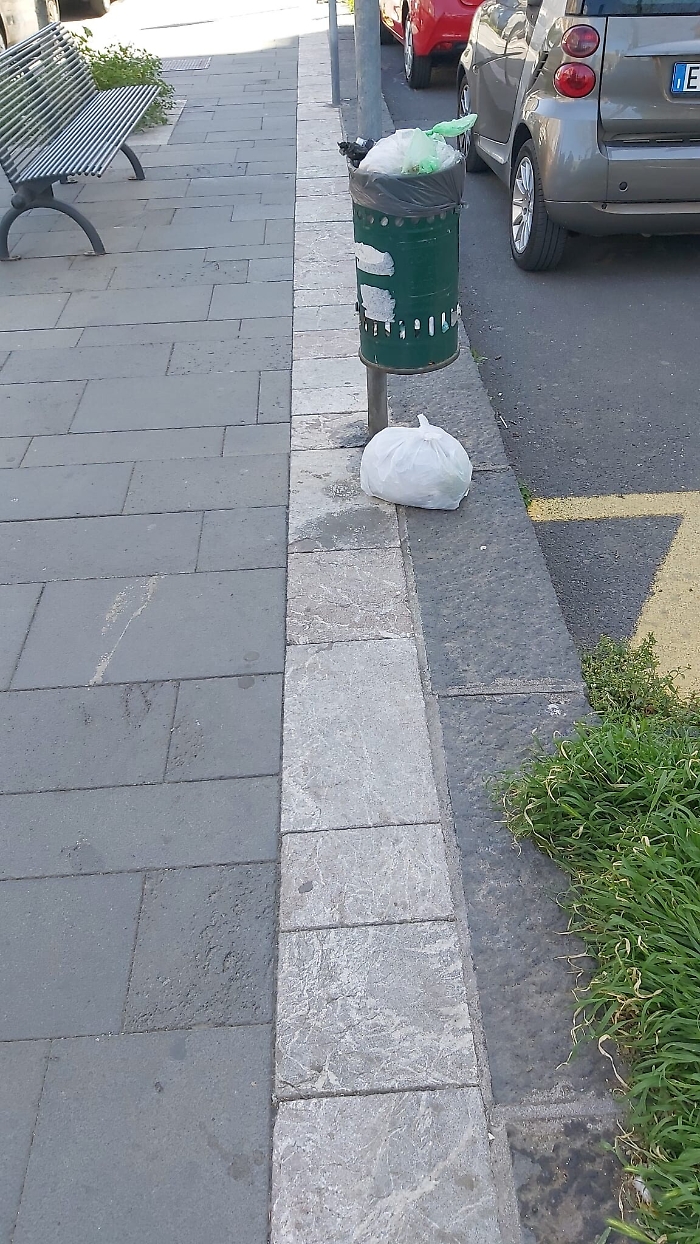 110142043-3c7de07d-9bc5-440a-aafc-2ea52a2c00cf