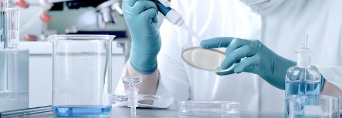 152502427-d7656a3a-1e9e-4043-9b42-1af9daa26d3c