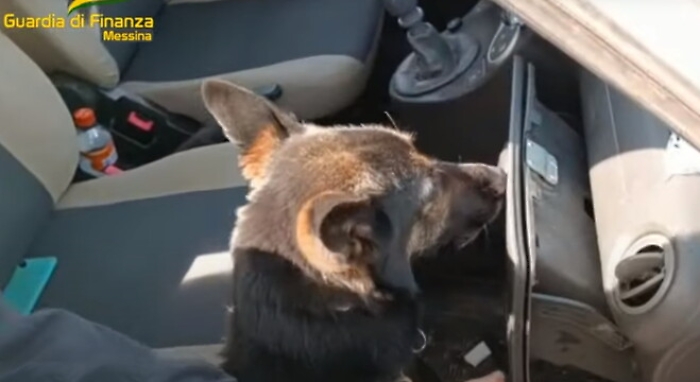 091324816-107f9c96-29cd-4a3a-a62c-eab0767a1a50