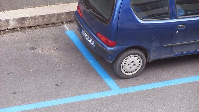 104013583-8548dcaa-0324-466d-bc43-3074e1554597