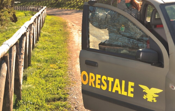 143604317-a28f9d6c-c7c9-44a5-900c-03fdf681cc66