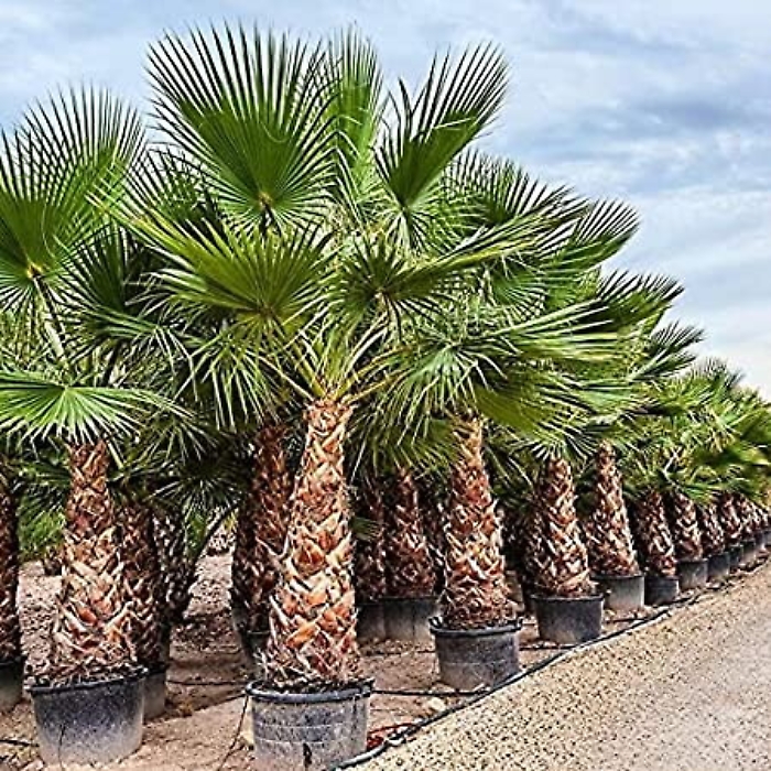 100857927-3367c419-f090-41ac-a7ed-7a392afa0850