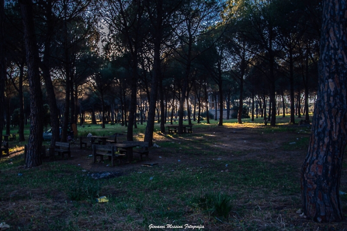 163852057-3470e101-f714-41ac-941a-cb3bfddd8d09