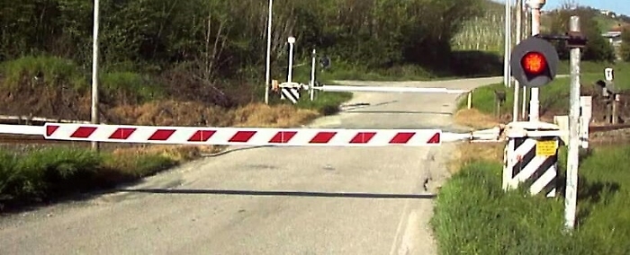 135508405-223e7e4a-ee5c-4705-b9b1-9ac448878d0f