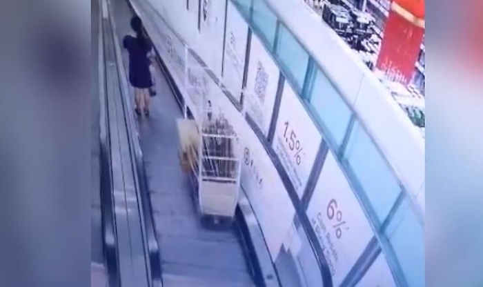 174734028-ca4ecfbb-e8a9-487e-a749-c8eefb8a529d