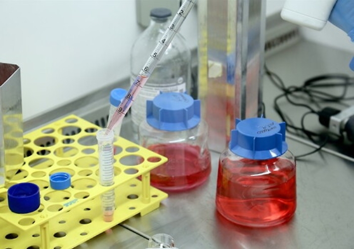 103446614-5ca473e9-8581-44a3-a093-5a51233b17d3