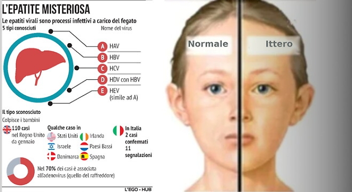 185033651-aa1d3d53-f6e5-4a4e-9dc2-66dbaf27f9a9