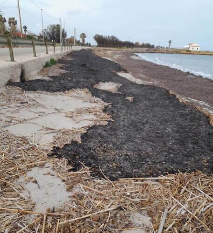 132547379-e2022adf-f0f9-4de7-a1eb-f695b3b80b79