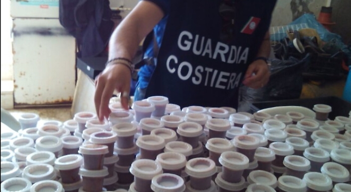 093620983-a17a1f9c-4a3b-4c6d-84fa-e05d1e633e5f