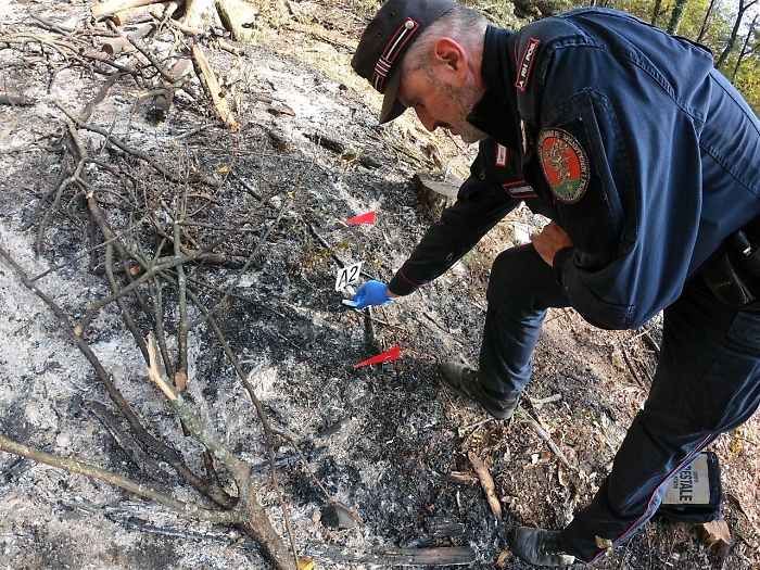 2022-05-02_102318369_1651481809144