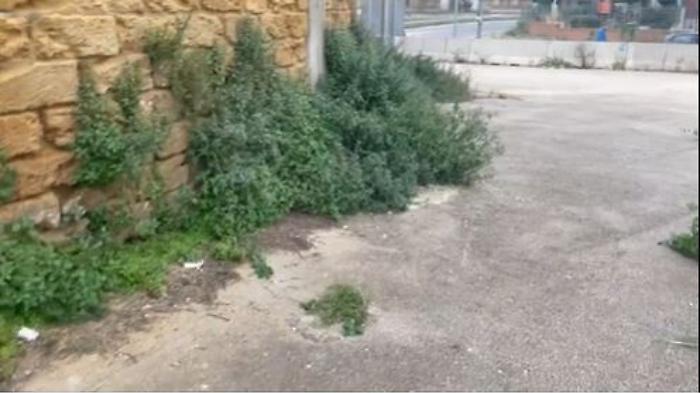 063926984-53057c38-2c6b-4d3f-8dfc-06014561ccec