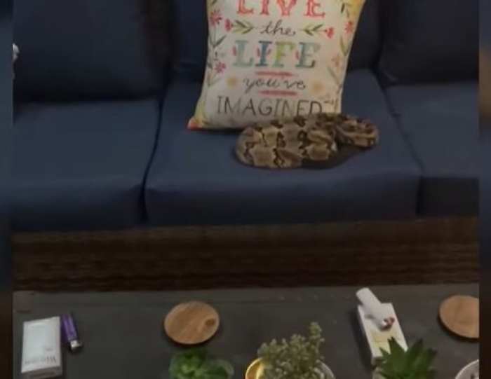 073526277-70979188-82b0-4ceb-86a7-7f6d9e2a8bf0